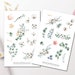 Eucalyptus and Cotton Sticker Set - Floral Stickers, Journal Stickers, Planner Stickers, Sticker Sheets, Garden, Plants, Flowers