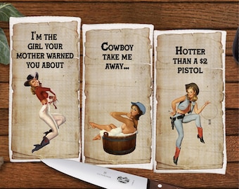 Retro Pin Up Cowgirls kitchen towel set of 3, Vintage housewives, Great gift for Mom, Hostess Gift, Dish Towels, Housewarming, Wedding gift