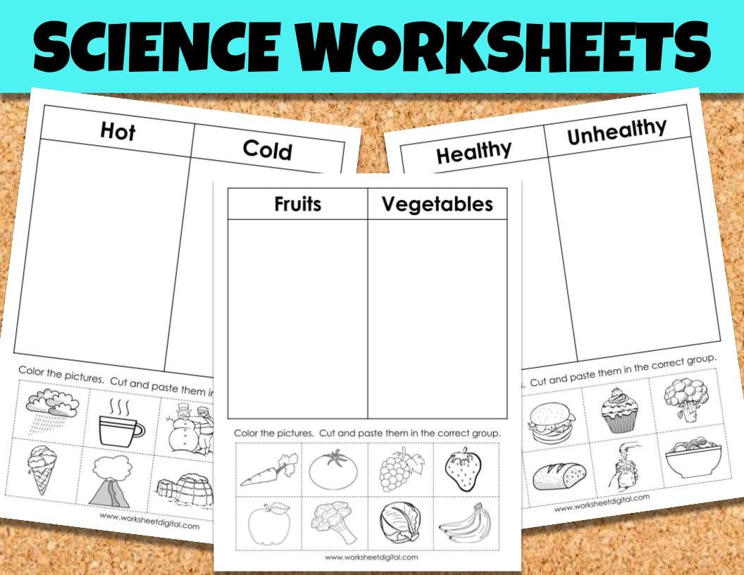 Science Worksheets, Sorting Worksheets, Kindergarten, Primary School