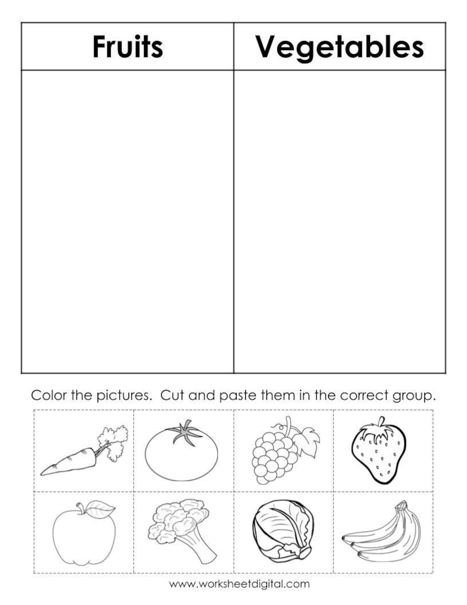 science-worksheets-sorting-worksheets-kindergarten-primary-school