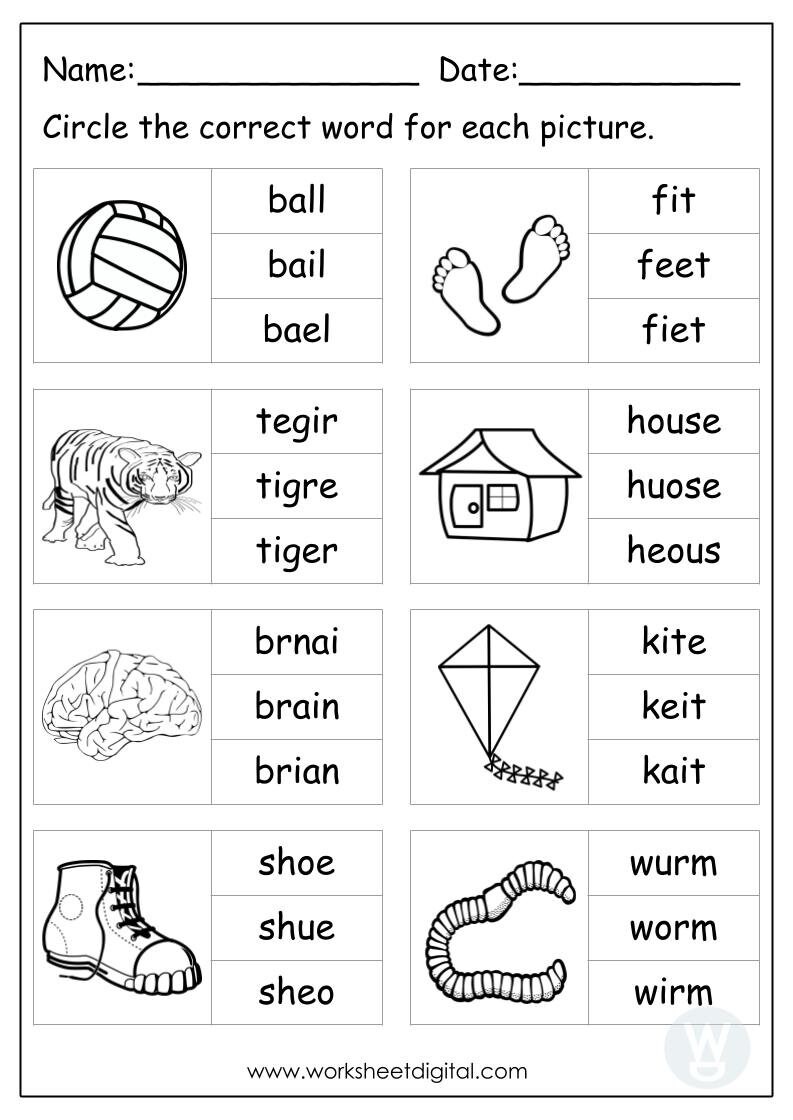 10 Printable Circle the Correct Word, Spelling for Kindergarten