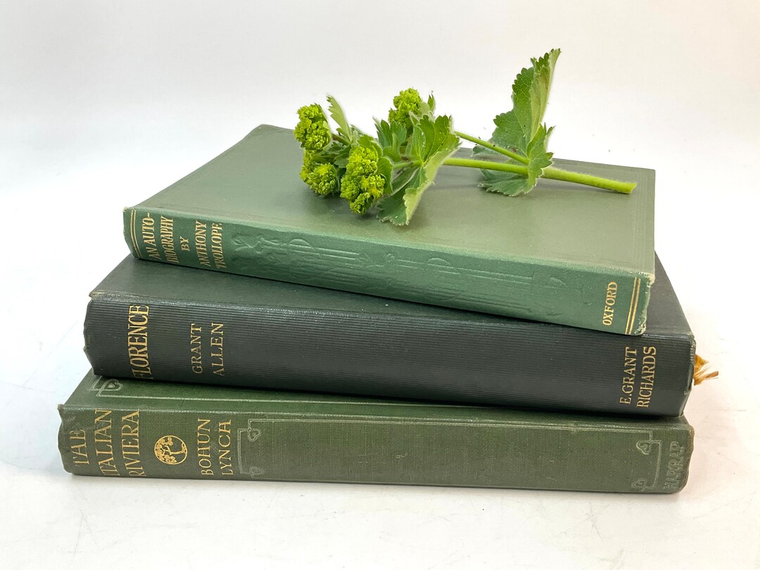 Trio of Small Green Books for Decoration Etsy