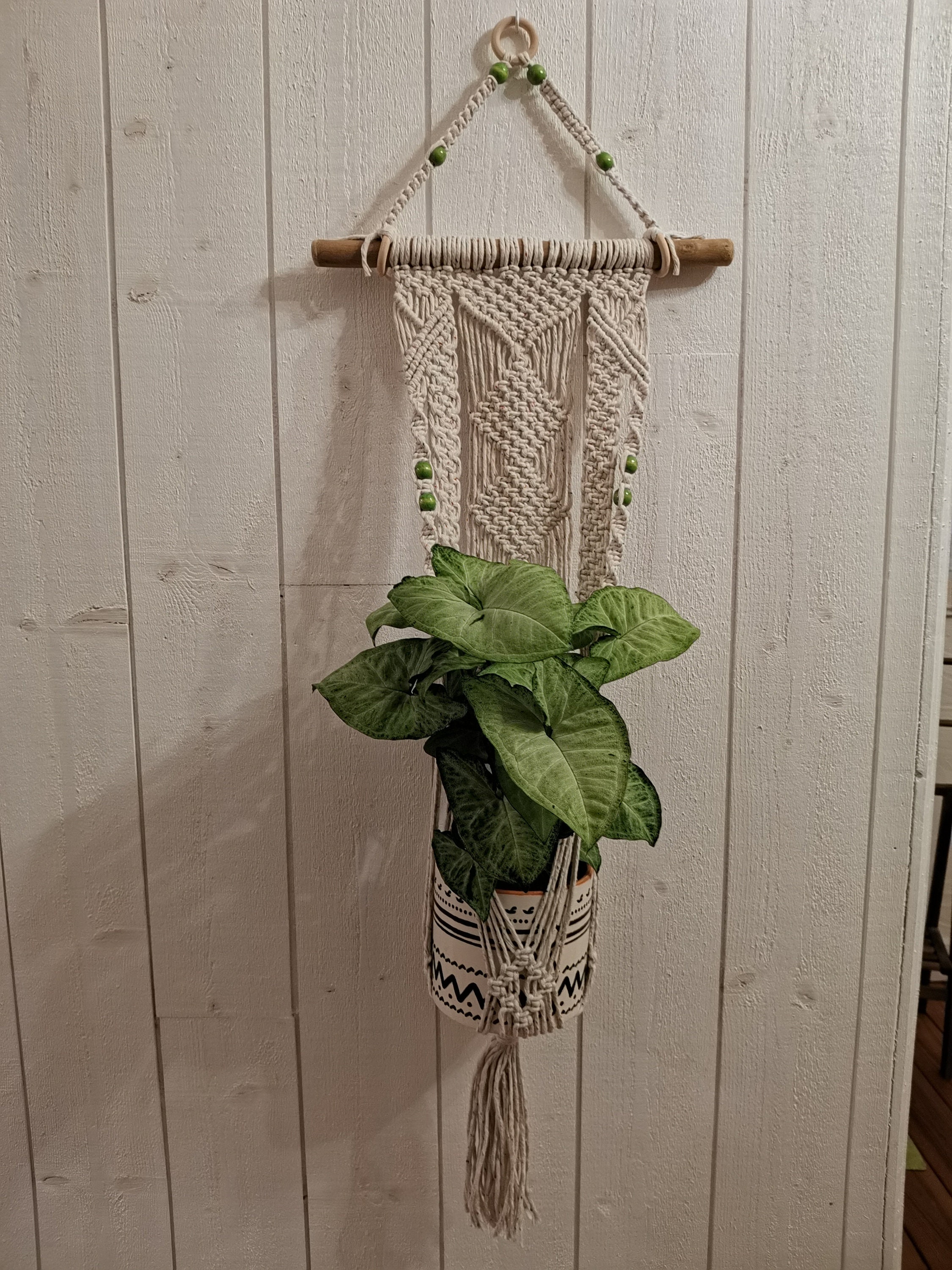 Suspension Macramé, Suspension Murale Tendance Nature, Art Floral Support Plante Intérieur, Décorati