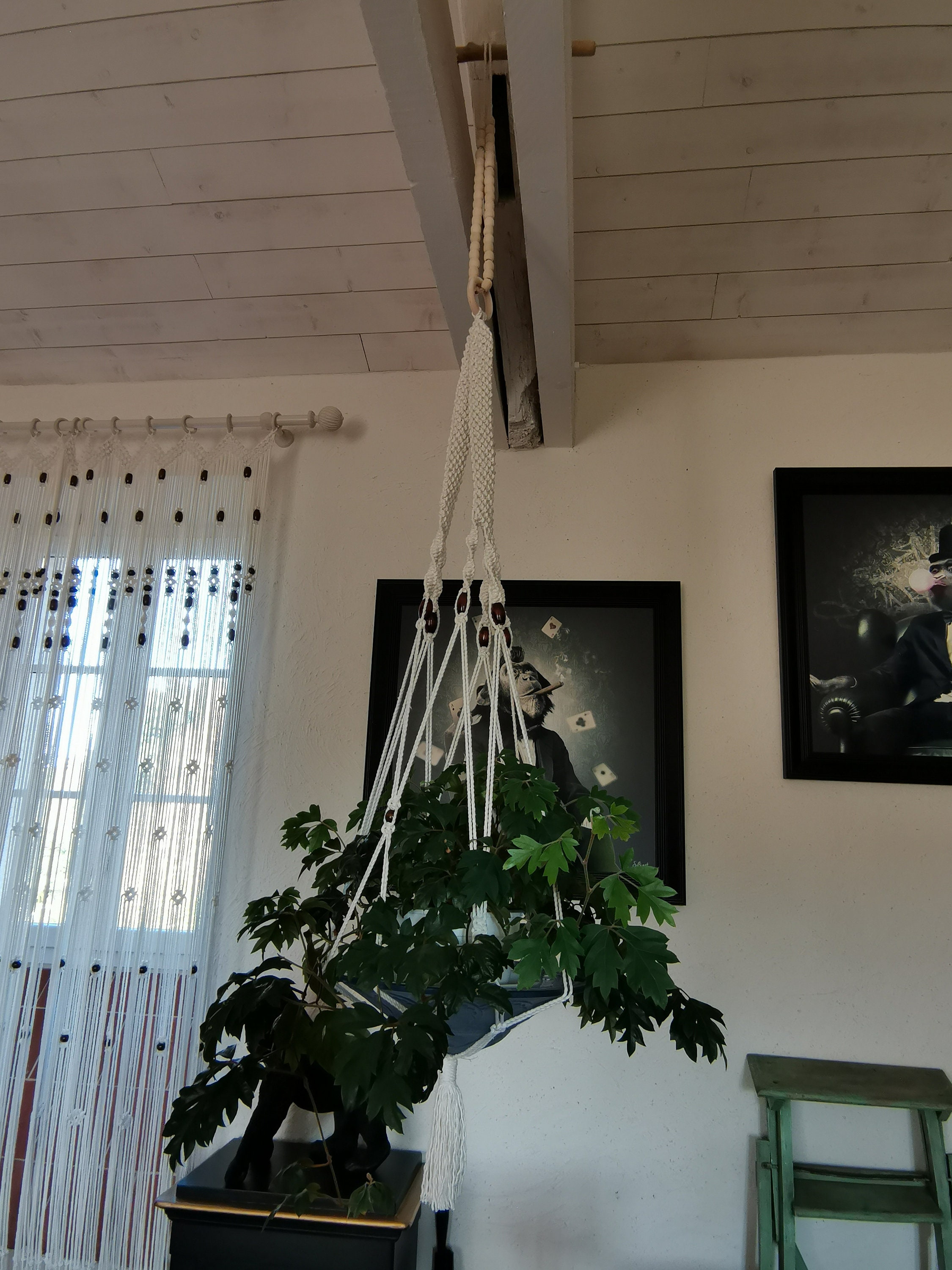 Suspension Macramé, Coupe à Fruits, Rangement Cuisine, Art Floral en Support Pour Plantes, Décoratio