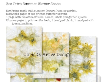 Eco Print Summer Flower Scans