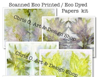 Scanned Eco Printed /Eco Dyed Papers kit 6 pgs, Flower and leaf prints, junk journal pages, collage papers, garden journal pages.