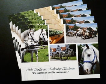 5 Postkarten Doberlug-Kirchhain