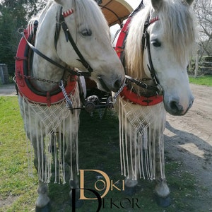 Horse fringe curtain for fly repellent, macrame, ceremonial harness, boho wedding, collar, horse jewelry, cold-blooded horse, carriage, chariot