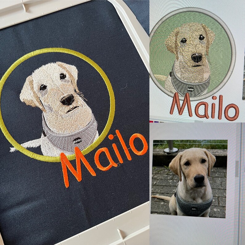 Pu&ograve; includere: Un ricamo personalizzato raffigurante un cane Labrador di colore chiaro che indossa una pettorina grigia all'interno di un bordo circolare giallo. Il nome Mailo &egrave; ricamato in filo arancione sotto il cerchio. Design visibile su tessuto e schermo.