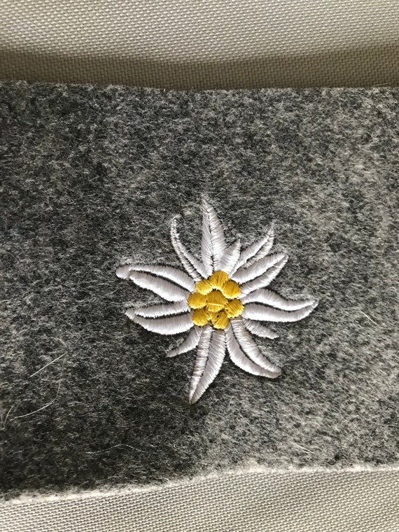 Festeggiato Il Settantesimo Compleanno Del Club Alpino Edelweiss - Verona News - Foto 11