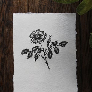 Briar rose lino print ~ botanical linocut ~ sweet briar ~ hand pulled  floral print ~ unmounted art print