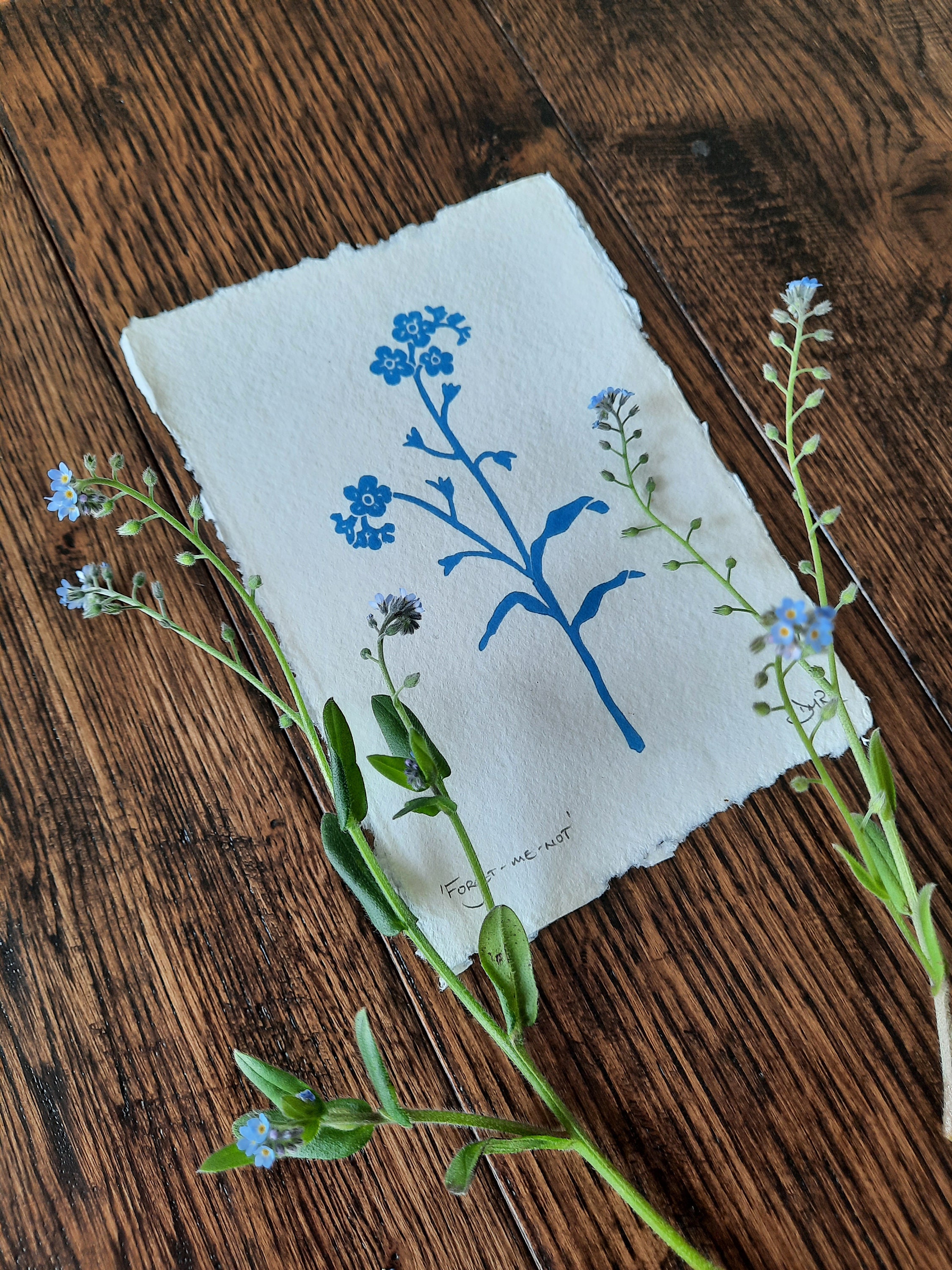 Forget-me-not Original Linocut ~ Blue ~ Hand Carved and Printed ...