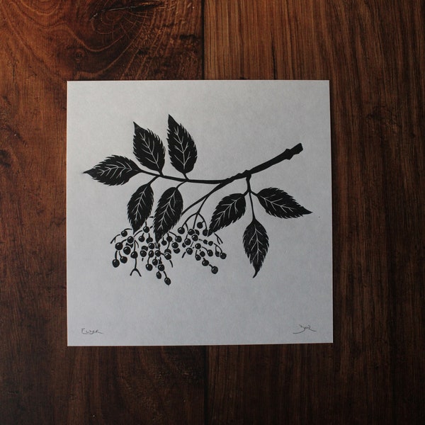 Elderberry lino print ~ hand carved linocut print of elder branch with leaves and berries ~ hand printed