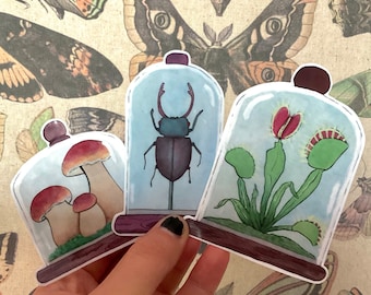 Curio Cloche Waterproof Vinyl Stickers
