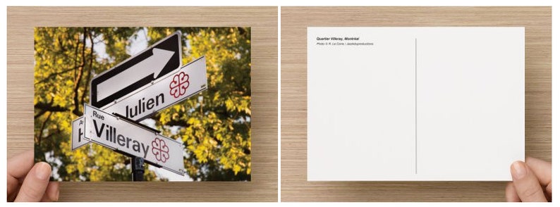 May include: A street sign with the words "Rue H. Villeray" and "Julien" on it. The sign is surrounded by green leaves.