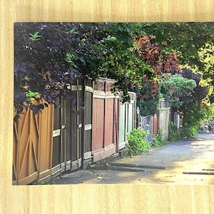 Carte Postale Montréal, "Vie de ruelle, Montréal"