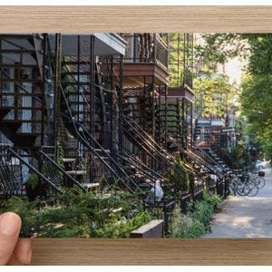 Carte Postale Montréal, "Escaliers été, Villeray, Montréal"