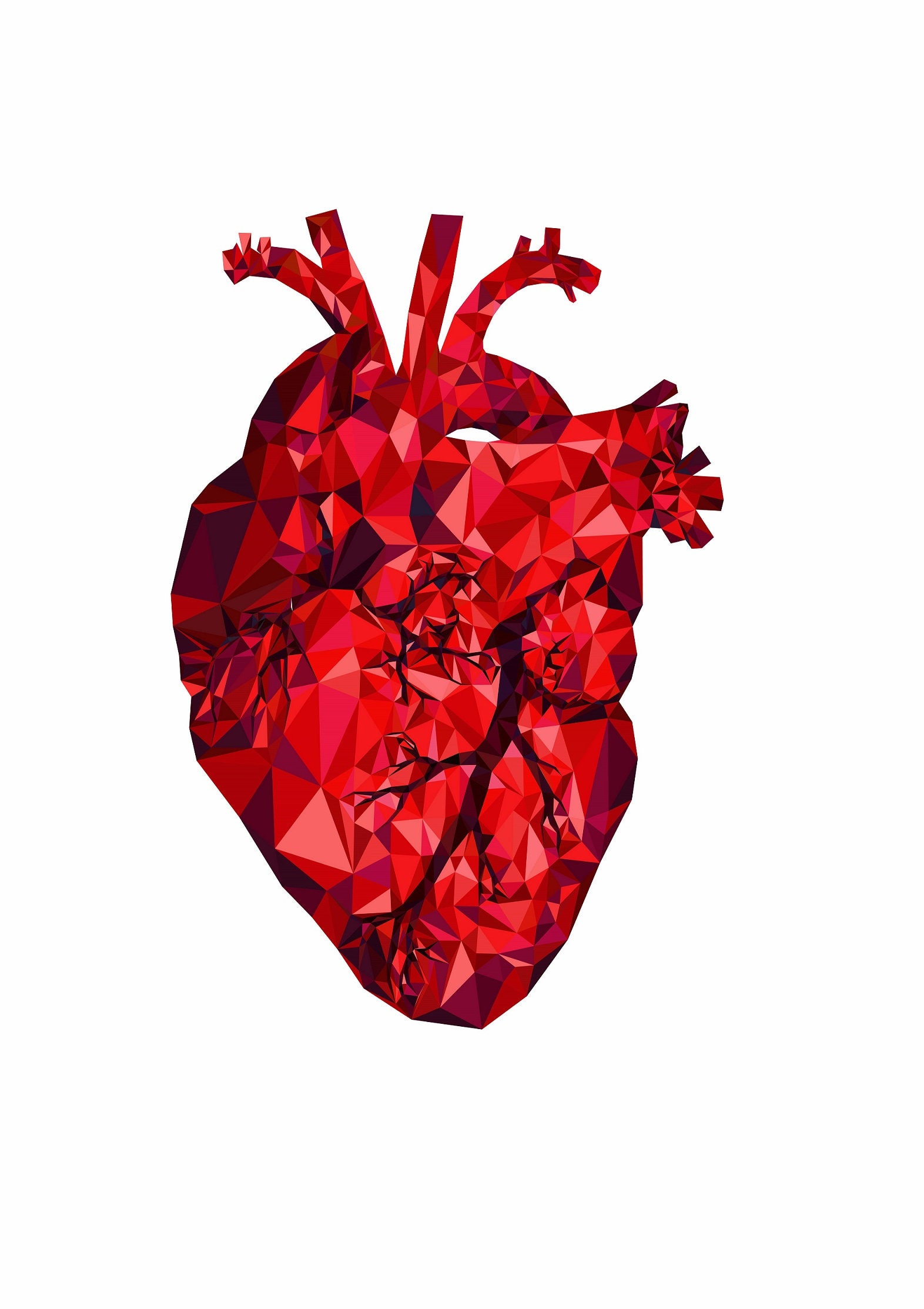 Illustration human Heart