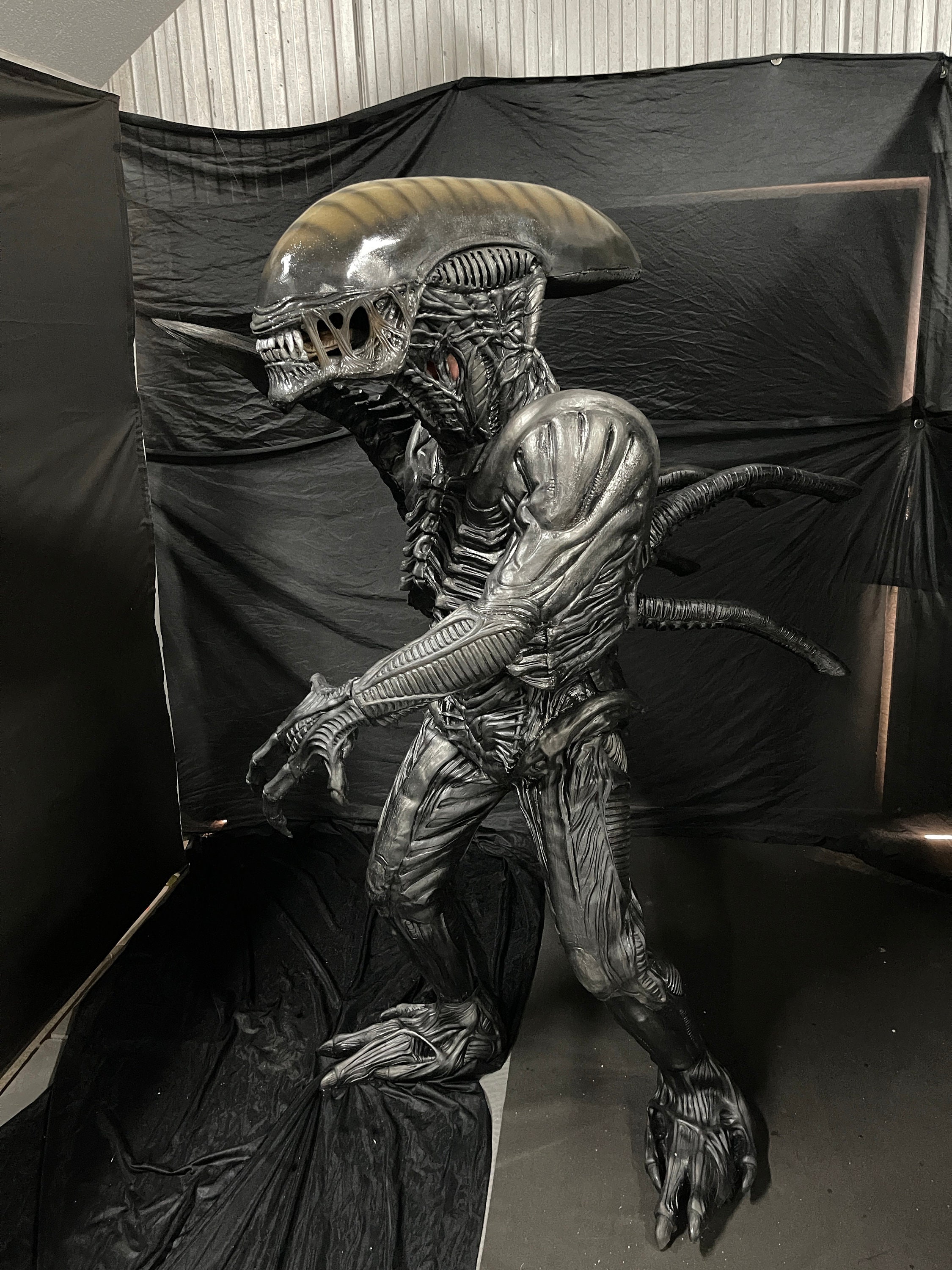 コスチューム ホラーエイリアン メーカー取寄】73-407s Costume Aliens（コスチューム