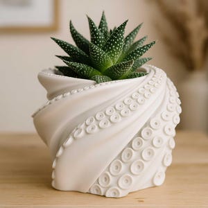 May include: A white ceramic planter with an octopus tentacle design, holding a green succulent plant. The planter has a swirling, textured surface with circular details. The succulent has pointed green leaves with white spots.