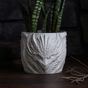 May include: White ceramic plant pot featuring a detailed dragon face design. The pot contains a snake plant with green and yellow striped leaves. The dragon's face is intricately carved, adding a unique touch to the plant pot.