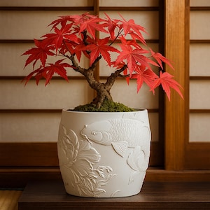 Könnte beinhalten: Ein Bonsai-Baum mit leuchtend roten Blättern in einem weißen Keramiktopf. Der Topf hat ein detailliertes Relief eines Koi-Fisches und eines floralen Designs. Der Baum steht vor einem traditionellen japanischen Shoji-Bildschirm.