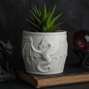 May include: A white cylindrical planter with a detailed relief of a dragon with outstretched wings. The planter holds a green succulent plant. The planter sits on a vintage book, with a dark background and a gargoyle statue to the left.