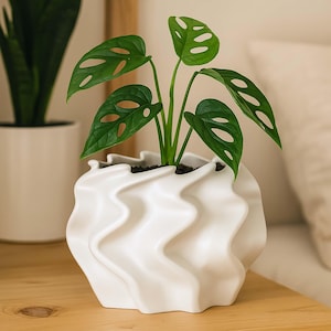 May include: A white ceramic planter with a wavy, textured design, holding a green plant with distinctive hole-punched leaves. The plant is centered in the planter, which sits on a light-colored wooden surface. Another plant is visible in the background.