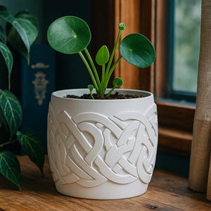 Puede incluir: Una maceta de cerámica blanca con un diseño de nudo celta en relieve. La maceta contiene tierra y una pequeña planta verde con hojas redondas. La maceta está sobre una superficie de madera cerca de una ventana.