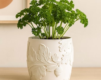 May include: A white ceramic plant pot with embossed oak leaf and acorn designs, filled with vibrant green parsley. The pot sits on a light-colored wooden surface, creating a natural and decorative display.