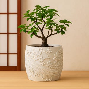 May include: A small bonsai tree in a white ceramic pot. The pot features a raised floral and tree branch design. The bonsai has a brown trunk and vibrant green leaves. The pot is on a wooden surface.