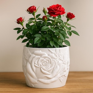 Puede incluir: Una planta de rosas en maceta con flores rojas vibrantes y hojas verdes. La planta está en una maceta de cerámica blanca con un diseño de rosa en relieve. La maceta está sobre una superficie de madera.
