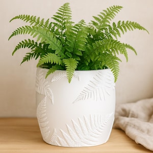 May include: A vibrant green fern plant in a white ceramic pot. The pot features a raised fern leaf design. The plant has many bright green fronds, creating a full, lush appearance. The pot is sitting on a wooden surface.
