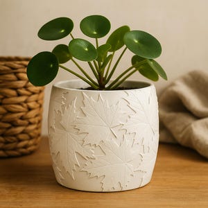 May include: A small green plant with round leaves in a white ceramic pot. The pot has a textured design of embossed maple leaves. The plant is set on a wooden surface, with a woven basket and a linen cloth in the background.