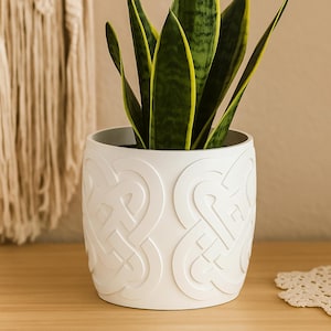 May include: A white ceramic planter with a raised Celtic knot design, holding a snake plant with green and yellow striped leaves. The planter is cylindrical and sits on a wooden surface.
