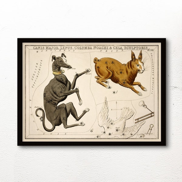 Canis Major - Vintage Astronomical Prints - Zodiac Posters - Sidney Hall - Home Decor Wall Art