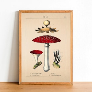 Vintage Roter Pilz Druck, Antike Botanische Poster, Blumendrucke, A4 A3 A2 Poster, Wohndekoration, Wandkunst, Grünes Blatt