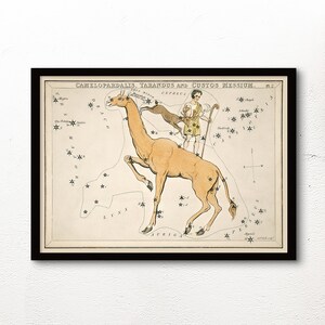 May include: A vintage illustration of the Camelopardalis, Tarandus, and Custos Messium constellations. The illustration features a giraffe-like creature with a man riding on its back, surrounded by stars. The text "Camelopardalis, Tarandus and Custos Messium" is printed at the top of the illustration.