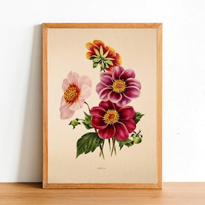 Vintage Dahlia Flower Print, Antique Flower Posters, Botanical Prints, A4 A3 A2 Poster, Home Decor, Wall Art, Green Leaf