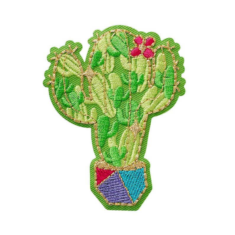 Cactus patch image 1