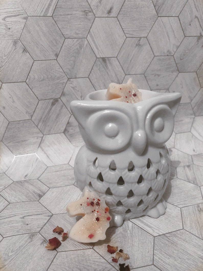 Owl Wax Burner Unicorn Bundle