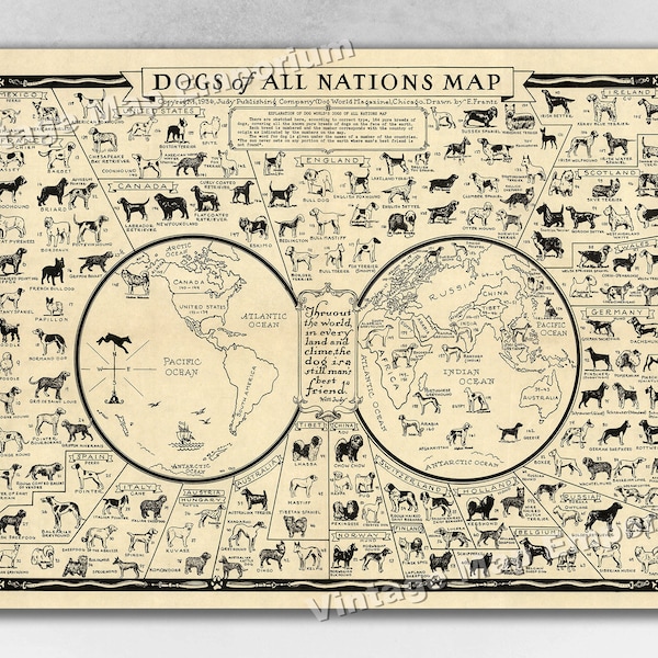 Dogs of the World Poster - 1936 Pictorial Map Showing the Dogs of All Nations, Covering all the Known Pure Breeds of Dogs - Dog Poster