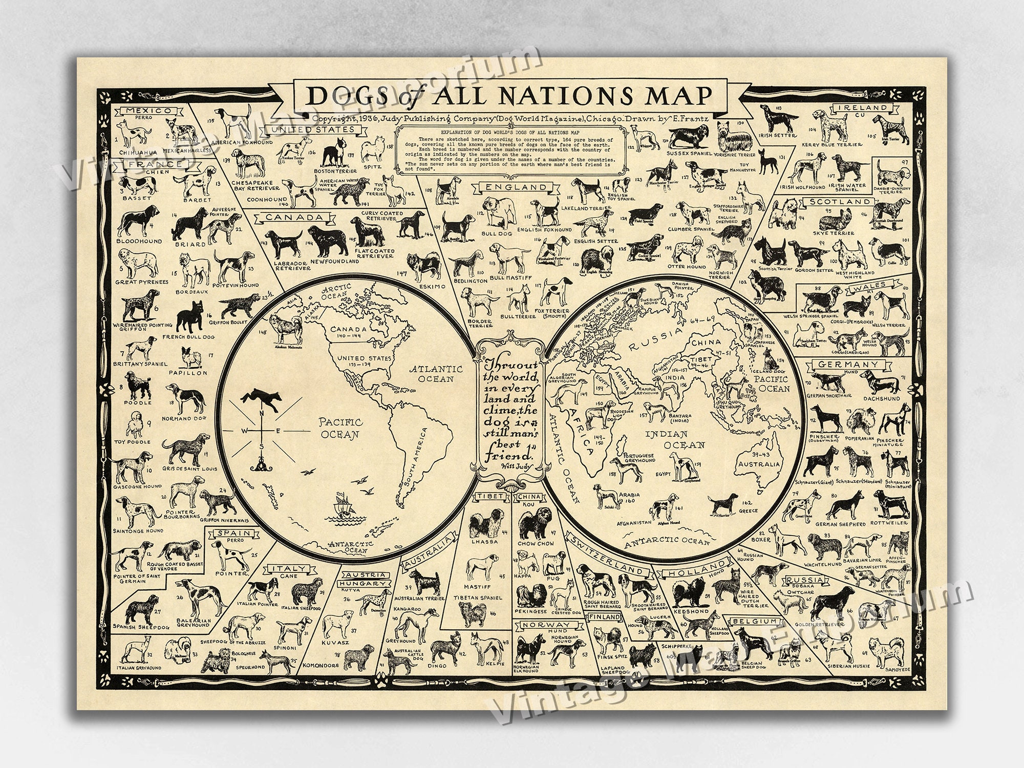 Dogs of the World Poster - 1936 Pictorial Map Showing the Dogs of