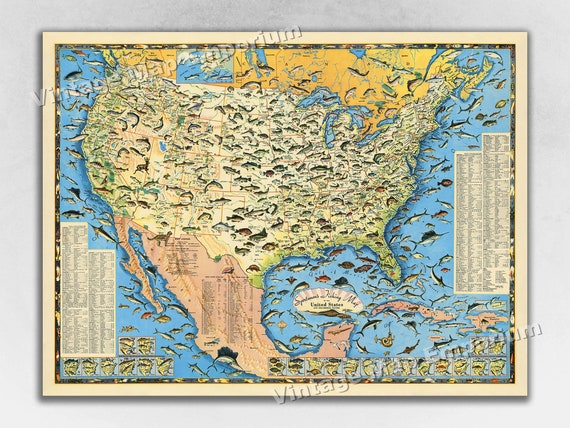 1957 Sportsmen's Fishing Map of the United States Fishing Art Print Poster  Wall Map 