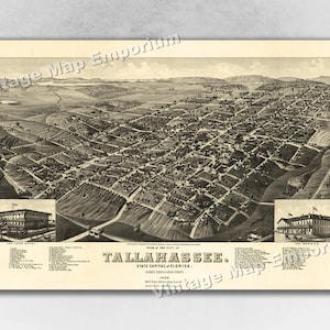 1885 Tallahassee, Florida Mapa - Mapa Panorámico de la Ciudad Vieja - Historic Birds Eye View Vintage Map Art Print