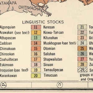 May include: A chart showing the linguistic stocks of Native American languages in North America. The chart is divided into 29 sections, each with a number and the name of a language family. The chart is labeled "Linguistic Stocks".