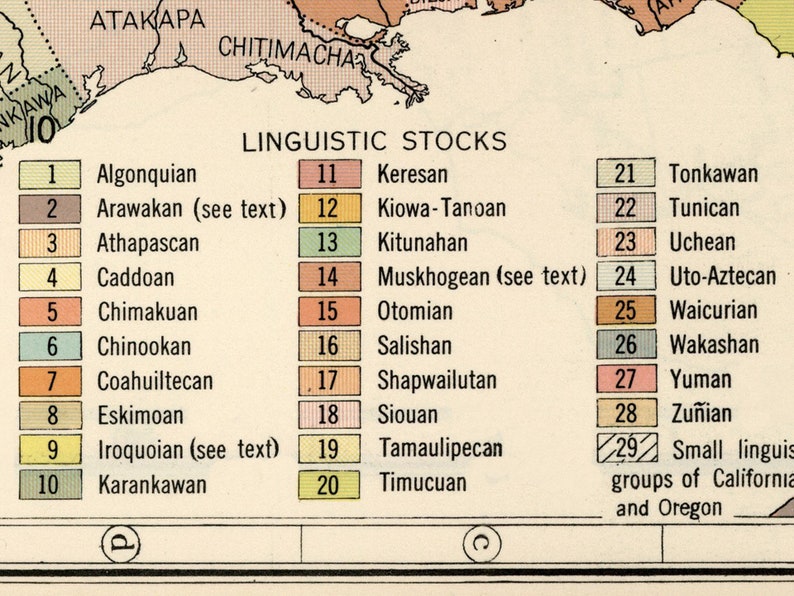 May include: A chart showing the linguistic stocks of Native American languages in North America. The chart is divided into 29 sections, each with a number and the name of a language family. The chart is labeled "Linguistic Stocks".