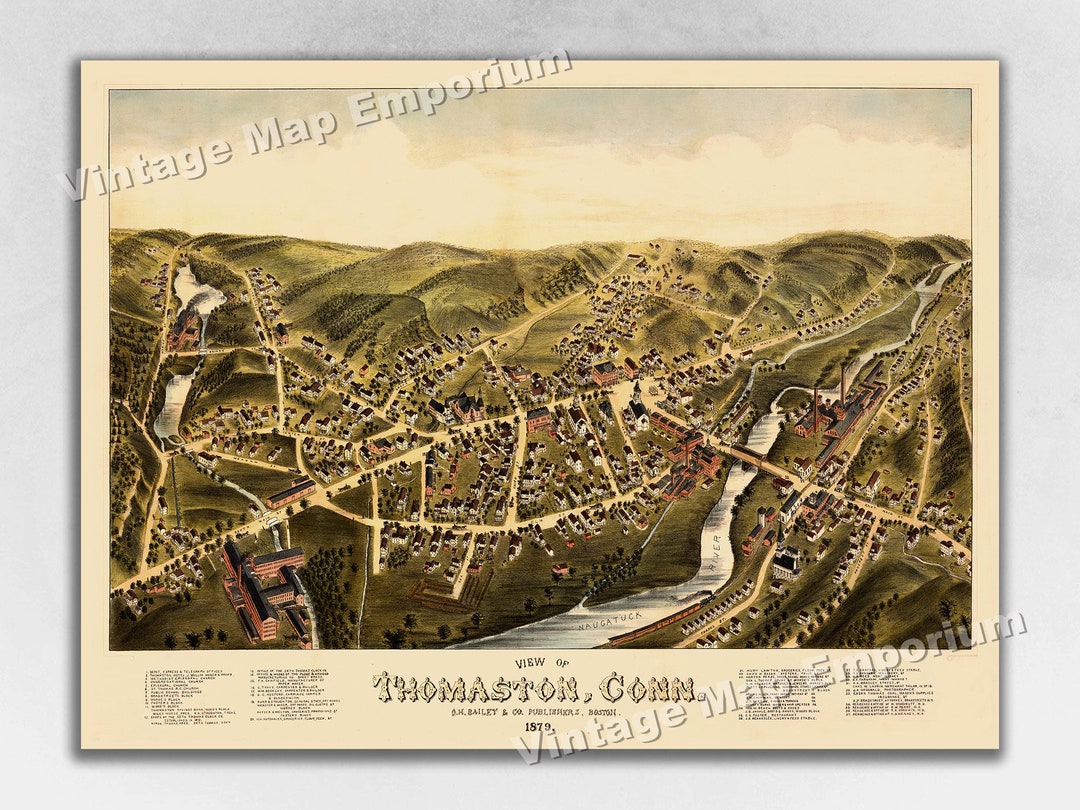 1879 Thomaston, Connecticut Map Panoramic Old City Map Historic Birds