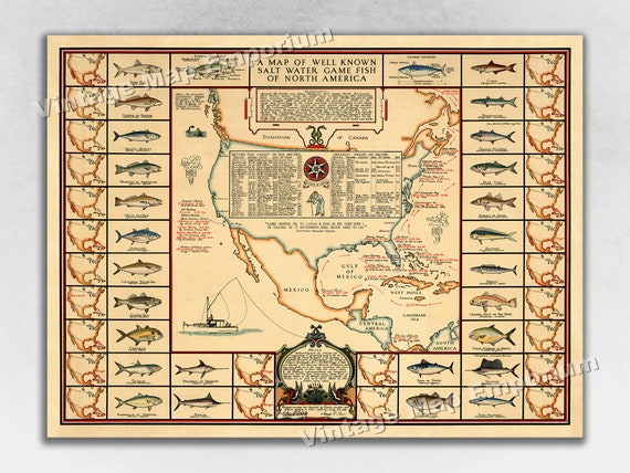 1936 A Map of Well Known Salt Water Game Fish of North America - Salt Water Fishing Art Print Poster Wall Map