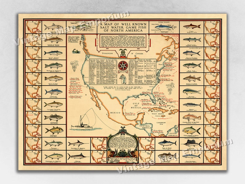 1936 A Map of Well Known Salt Water Game Fish of North America - Salt Water Fishing Art Print Poster Wall Map bild 1